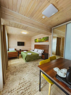 Hotels in Borodulikha District